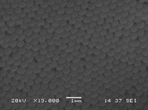 Scanning electron micrograph of nanoscale SiO2 spheres that we manufactured ourselves