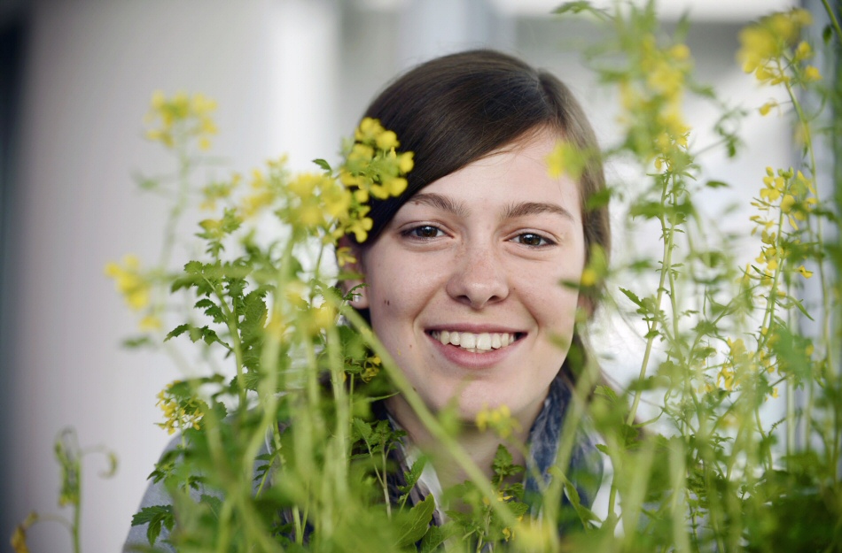 Marion Kreins studies her yellow mustard plants (source: Stiftung Jugend forscht e. V.)