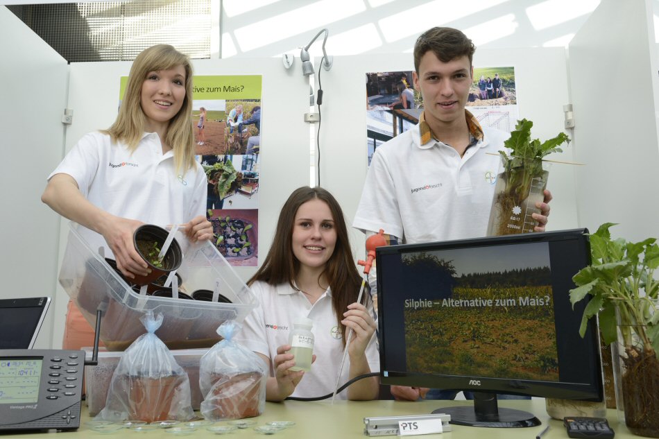 Ramona Pick, Laura Eschweiler and Rolf Hartmann with their silphium perfoliatum plants (source: Bayer AG)