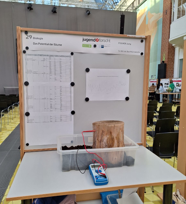 Lucy Fischers Stand auf dem Regionalwettbewerb in Düsseldorf